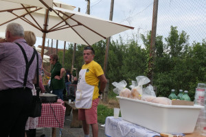 488954782 1119012726928219 7788310240319185520 n 